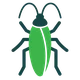 Cockroach