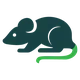 Rodent