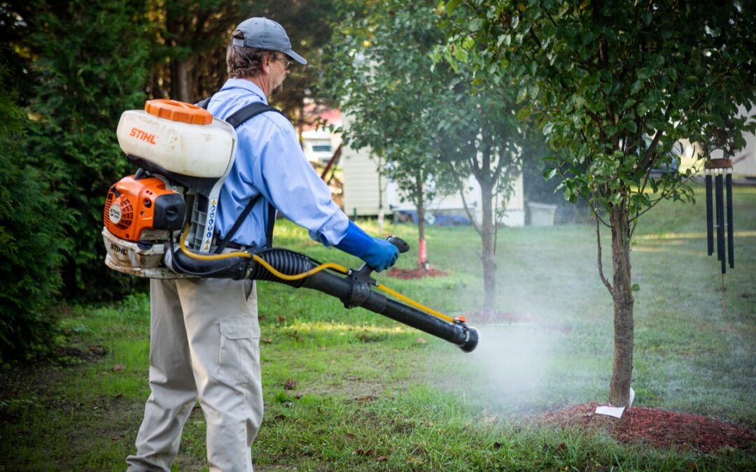 Tips for Year-Round Mosquito Control