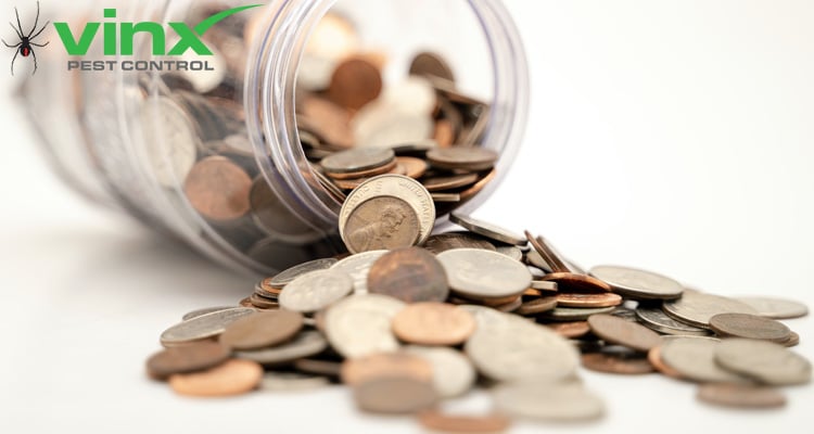 How Much Does Bed Bug Treatment Cost? 