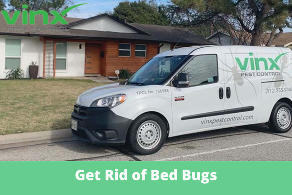 Can an Exterminator Get Rid of Bed Bugs Can an Exterminator Get Rid of Bed Bugs