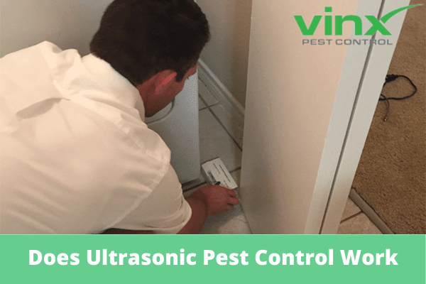 Does Ultrasonic Pest Control Work