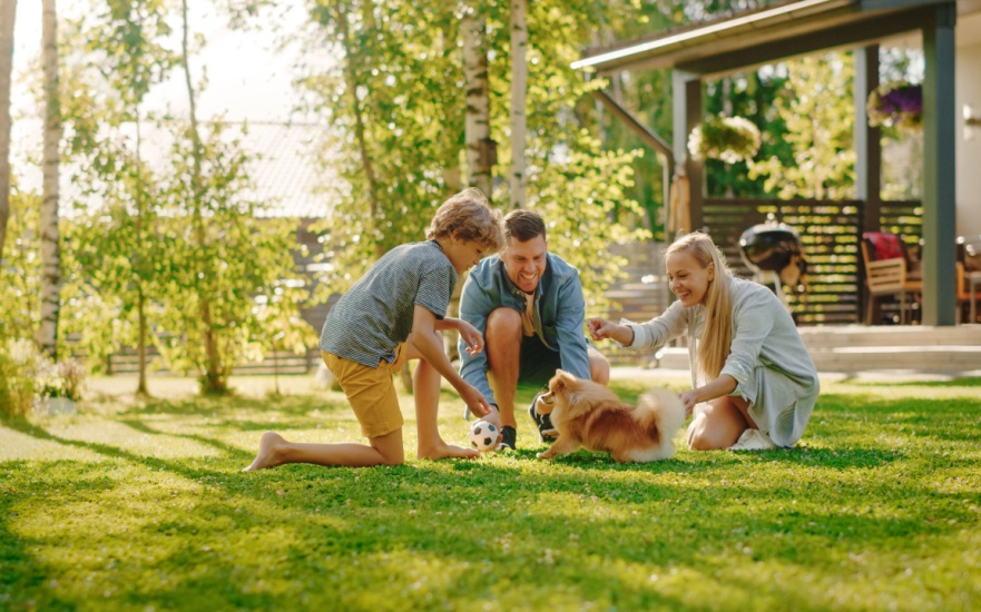 Best Pest Control in Dallas, TX