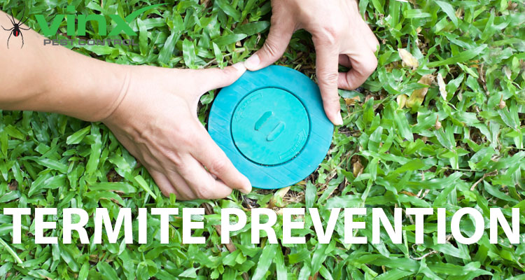 Termite-Prevention