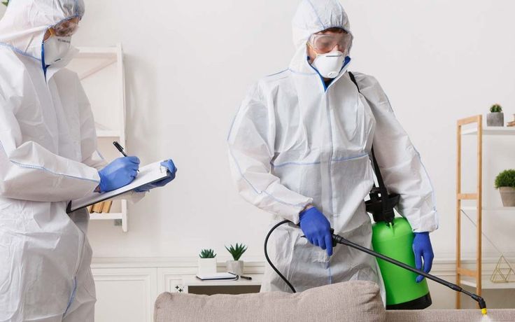 Is Your Home Protected? The Ultimate Pest Control Checklist